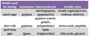 table of macromolecules