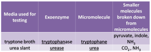 table of micromolecules